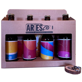 valigetta craft con 4 birre artigianali aries